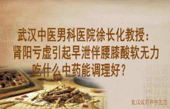 武汉中医男科医院徐长化教授：肾阳亏虚引起早泄伴腰膝酸软无力吃什么中