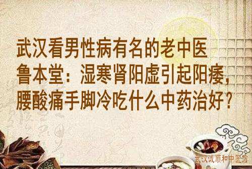 武汉看男性病有名的老中医鲁本堂：湿寒肾阳虚引起阳痿，腰酸痛手脚冷吃什么中药治好？