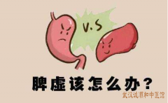 武汉胃病治疗专家张压西：脾胃虚弱进食后胃部容易出现胀痛食欲不振怎么