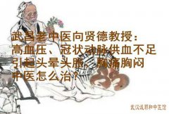 武昌老中医向贤德教授：高血压、冠状动脉供血不足引起头晕头胀、胸痛胸