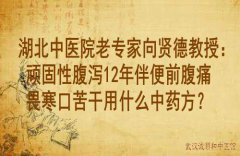 湖北中医院老专家向贤德教授：顽固性腹泻12年伴便前腹痛畏寒口苦干用什