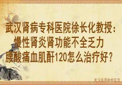 武汉肾病专科医院徐长化教授：慢性肾炎肾功能不全乏力腰酸痛血肌酐120怎