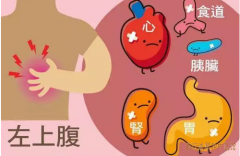 武汉硚口区厉害的中医张林茂：左上腹间断性疼痛1月余伴有口苦纳差怎么办