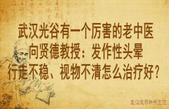 武汉光谷有一个厉害的老中医向贤德教授：发作性头晕行走不稳、视物不清