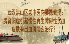 武汉洪山区老中医向贤德教授：脾肾阳虚引起慢性再生障碍性贫血皮肤有出