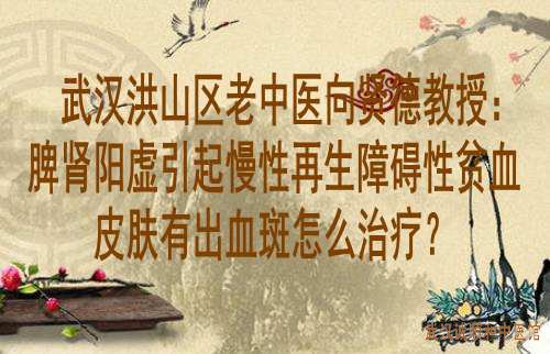 武汉洪山区老中医向贤德教授：脾肾阳虚引起慢性再生障碍性贫血皮肤有出血斑怎么治疗？