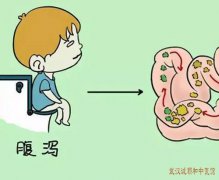 武汉市中医刘玉茂怎么样?腹胀腹泻肠鸣肝郁脾虚湿热积滞中医辨证医案一则