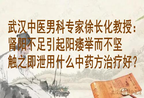 武汉中医男科专家徐长化教授：肾阳不足引起阳痿举而不坚触之即泄用什么中药方治疗好？