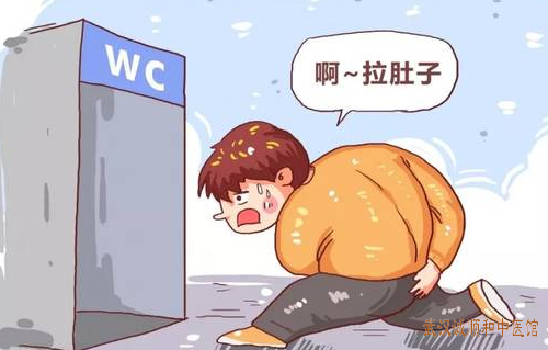 慢性腹泻下腹疼痛中医治疗医案一则