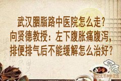 武汉胭脂路中医院怎么走？向贤德教授：左下腹胀痛腹泻，排便排气后不能