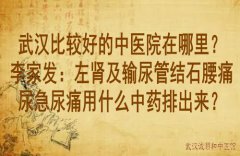 武汉比较好的中医院在哪里？李家发：左肾及输尿管结石腰痛尿急尿痛用什
