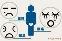 湖北有哪些厉害的男科中医？徐长化教授：前列腺肥大并炎症尿频急量少尿