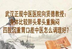武汉正规中医医院向贤德教授：身体比较胖头晕头重胸闷四肢沉重胃口差中