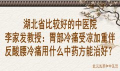 湖北省比较好的中医院李家发教授：胃部冷痛受凉加重伴反酸腰冷痛用什么