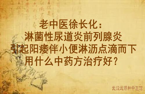 老中医徐长化：淋菌性尿道炎前列腺炎引起阳痿伴小便淋沥点滴而下用什么中药方治疗好？