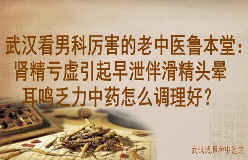 武汉看男科厉害的老中医鲁本堂：肾精亏虚引起早泄伴滑精头晕耳鸣乏力中药怎么调理好？