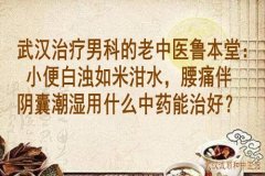 武汉治疗男科的老中医鲁本堂：小便白浊如米泔水，腰痛伴阴囊潮湿用什么