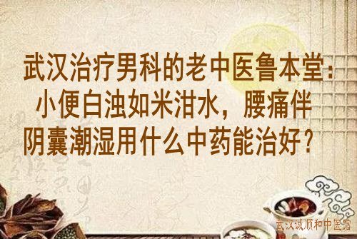 武汉治疗男科的老中医鲁本堂：小便白浊如米泔水，腰痛伴阴囊潮湿用什么中药能治好？