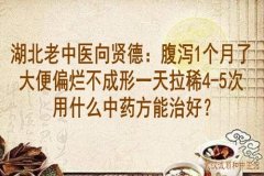 湖北老中医向贤德：腹泻1个月了大便偏烂不成形一天拉稀4-5次用什么中药方