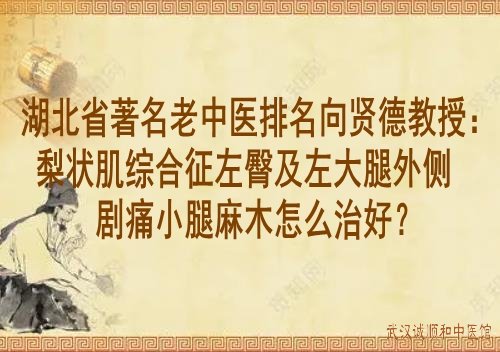 湖北省著名老中医排名向贤德教授：梨状肌综合征左臀及左大腿外侧剧痛小腿麻木怎么治好？
