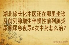 湖北徐长化中医还在哪里坐诊及前列腺增生伴慢性前列腺炎尿频尿急夜尿