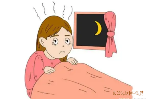 失眠头晕中医中药医案