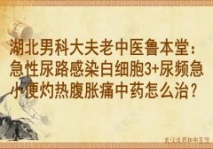 湖北男科大夫老中医鲁本堂：急性尿路感染白细胞3+尿频急小便灼热腹胀痛