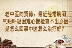 老中医向贤德：最近经常胸闷气短呼吸困难心慌检查不出原因是怎么回事中