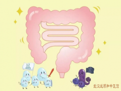 武汉诚顺和中医内科专家吴永贵：患肠胃功能紊乱很严重吗?中药调理会恢复