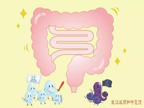 武汉诚顺和中医馆肠胃功能紊乱医案一则