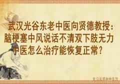 武汉光谷东老中医向贤德教授：脑梗塞中风说话不清双下肢无力中医怎么治