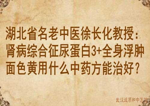 湖北省名老中医徐长化教授：肾病综合征尿蛋白3+全身浮肿面色黄用什么中药方能治好？