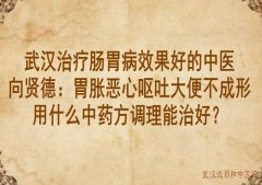 武汉治疗肠胃病效果好的中医向贤德：胃胀恶心呕吐大便不成形用什么中药
