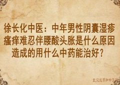徐长化中医：中年男性阴囊湿疹瘙痒难忍伴腰酸头胀是什么原因造成的用什