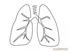 湖北省中医院退休专家李轩锦：喉痒痰多伴胸闷慢性支气管炎中医怎么治