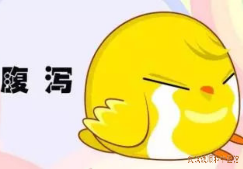 腹泻腹痛便血间作2个月伴小腹隐痛肠鸣怎么治疗？