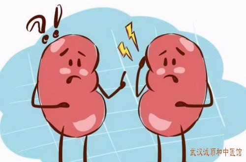 慢性肾炎出现水肿腰酸血尿中医治疗有没有效果？中医治疗肾炎的方药有哪些？