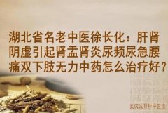 湖北省名老中医徐长化：肝肾阴虚引起肾盂肾炎尿频尿急腰痛双下肢无力中