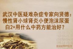 武汉中医疑难杂症专家向贤德：慢性肾小球肾炎小便泡沫尿蛋白2+用什么中