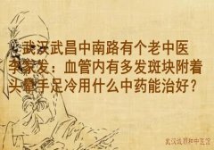 武汉武昌中南路有个老中医李家发：血管内有多发斑块附着头晕手足冷用什