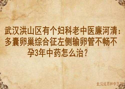 武汉洪山区有个妇科老中医廉河清：多囊卵巢综合征左侧输卵管不畅不孕3年中药怎么治？