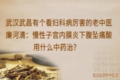 武汉武昌有个看妇科病厉害的老中医廉河清：慢性子宫内膜炎下腹坠痛腰酸