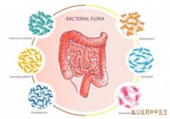 中医消化内科专家吴隆贵：腹痛腹泻每日4-5次肠炎中医治疗效果如何?