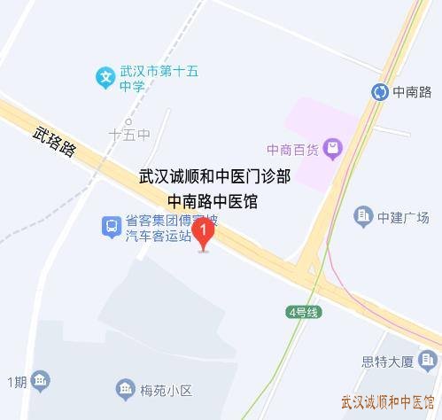 武汉诚顺和中南路中医馆地图