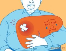 消化不良、腹部胀气等症状需注意以免是肝硬化！中医采用什么方式治疗效