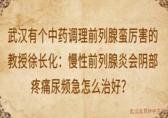 武汉有个中药调理前列腺蛮厉害的教授徐长化：慢性前列腺炎会阴部疼痛尿