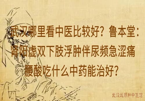 武汉哪里看中医比较好？鲁本堂：肾阳虚双下肢浮肿伴尿频急涩痛腰酸吃什么中药能治好？