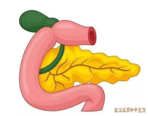 湖北厉害的内科医师让敏：急性胰腺炎上腹疼痛按之剧痛大便秘结吃什么中药方子调理有效?