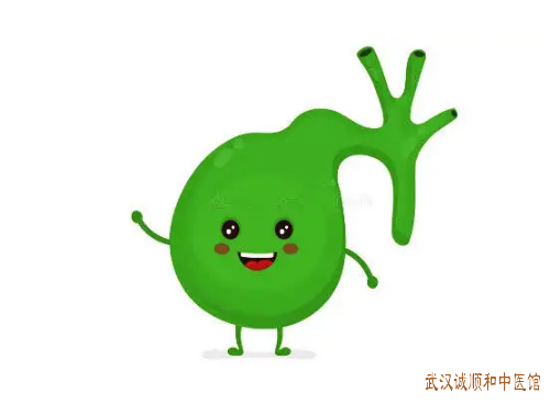 武汉中南路内科门诊中医让敏：右上腹隐隐作痛常觉乏力纳差吃什么中药方子能治疗胆结石?