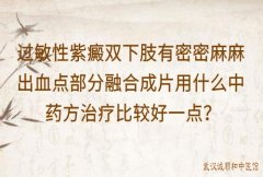 过敏性紫癜双下肢有密密麻麻出血点部分融合成片用什么中药方治疗比较好